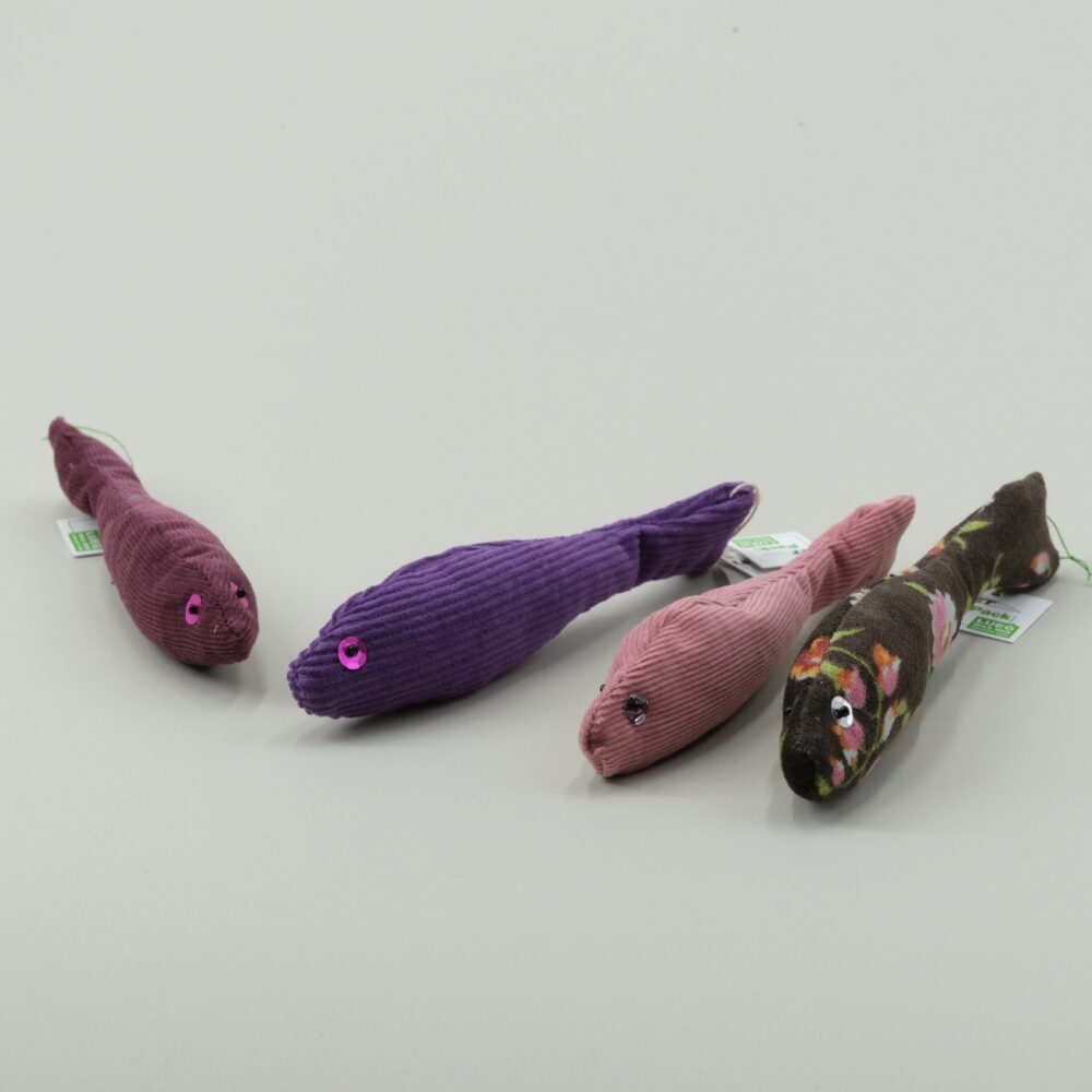Lavendelfische klein